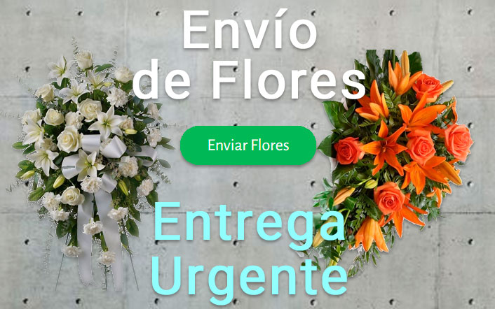 Envio flores difunto urgente a Tanatorio Valladolid